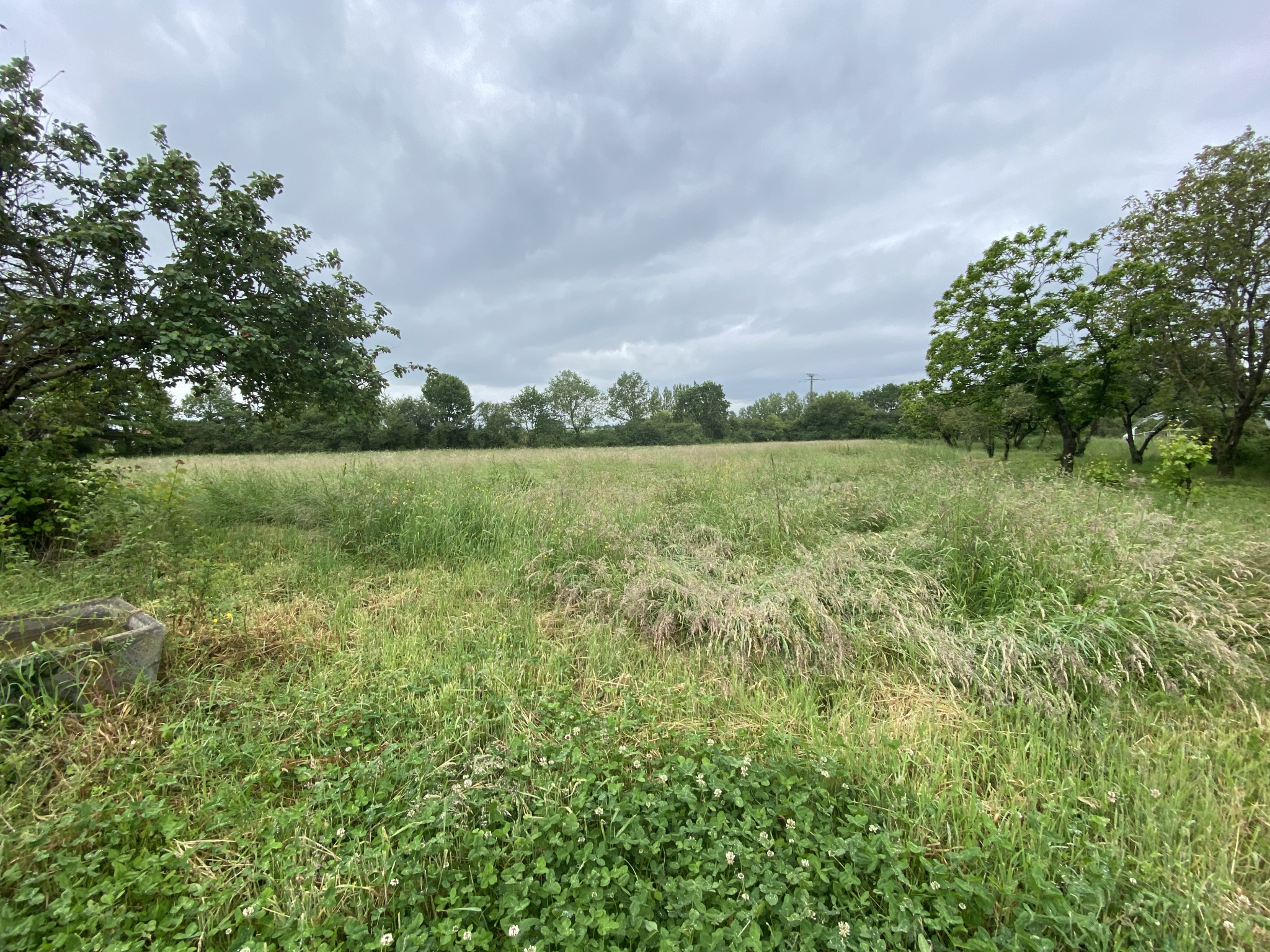 Terrain — Lys-Haut-Layon